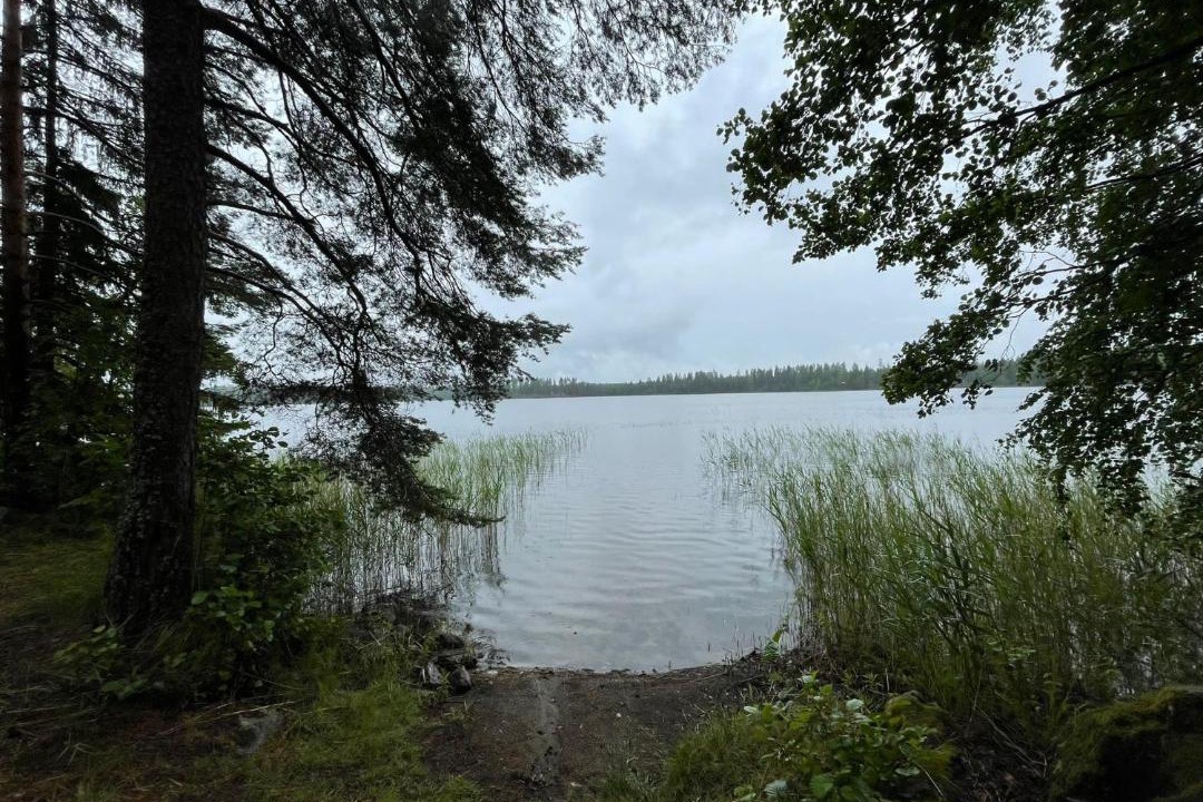 Photo of Others in Etelainen