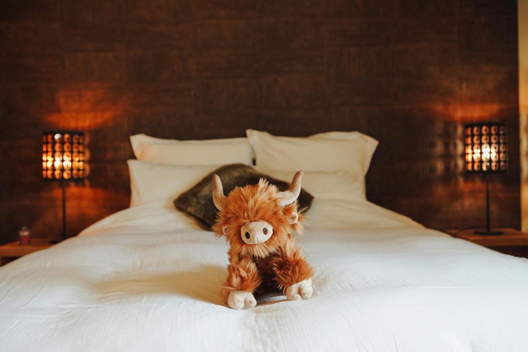 Photo of Bedroom in Falmagne