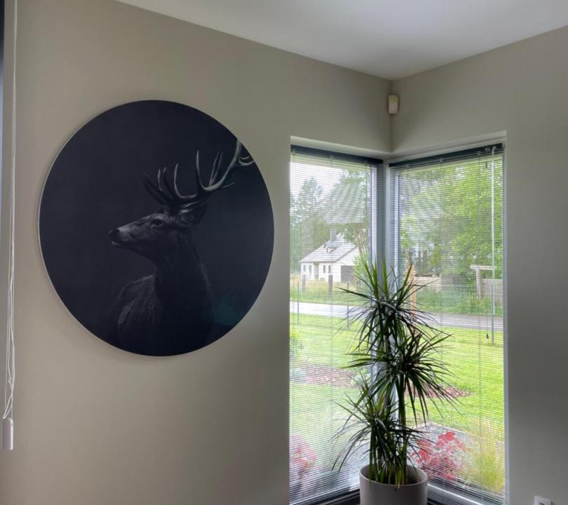 Photo of Livingroom in Florenville