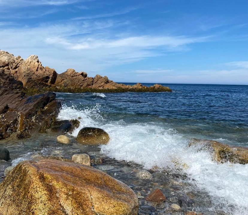Photo of Others in Portuguese Cove