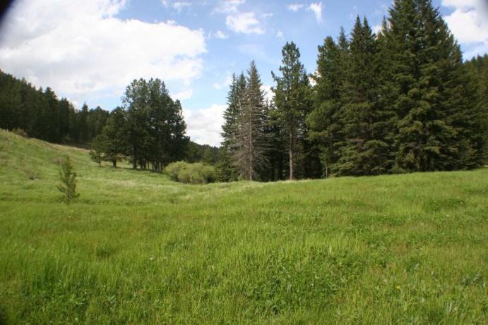 Photo of Others in Custer