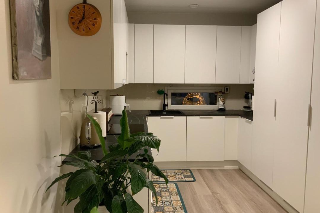 Photo of Kitchen in Aviapolis