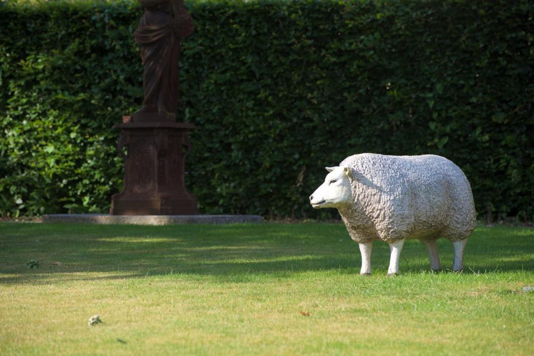 Photo of Others in Gierle