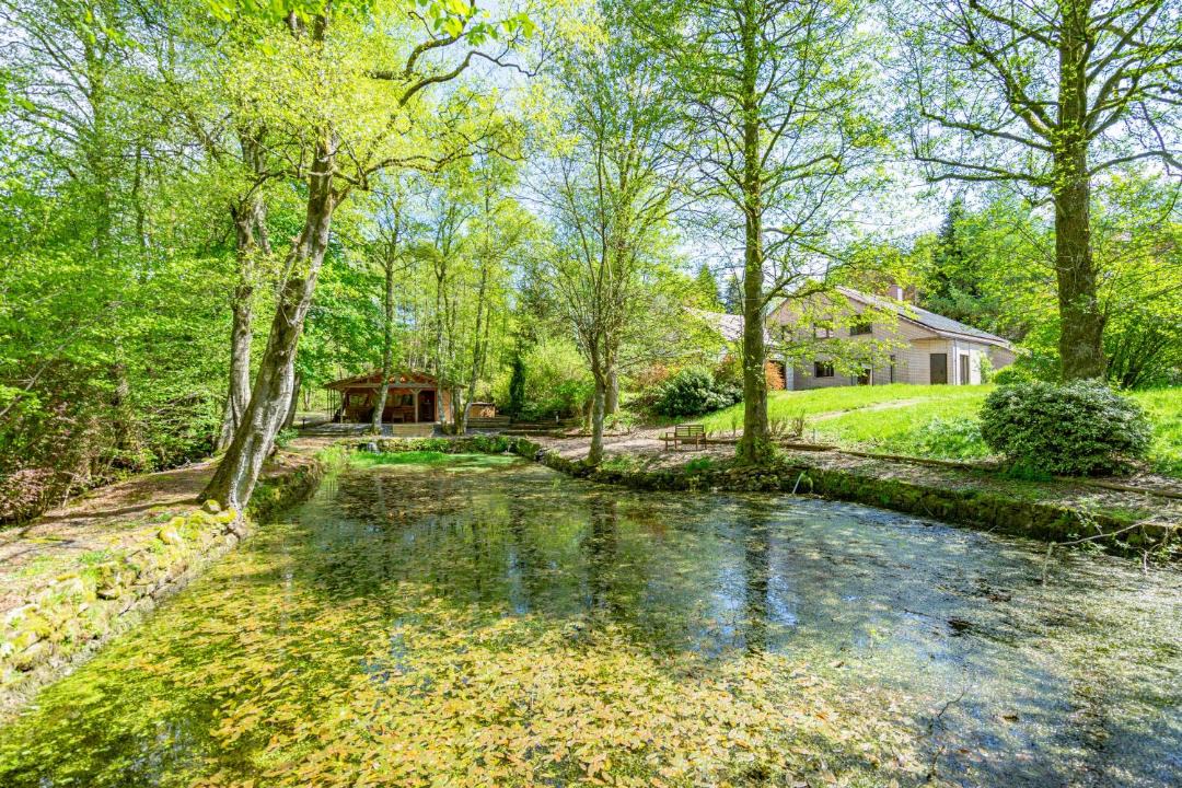 Photo of Outdoor in Vesqueville