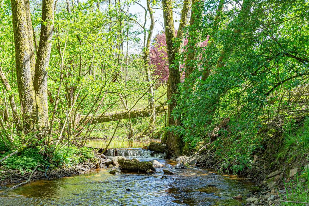 Photo of Outdoor in Vesqueville
