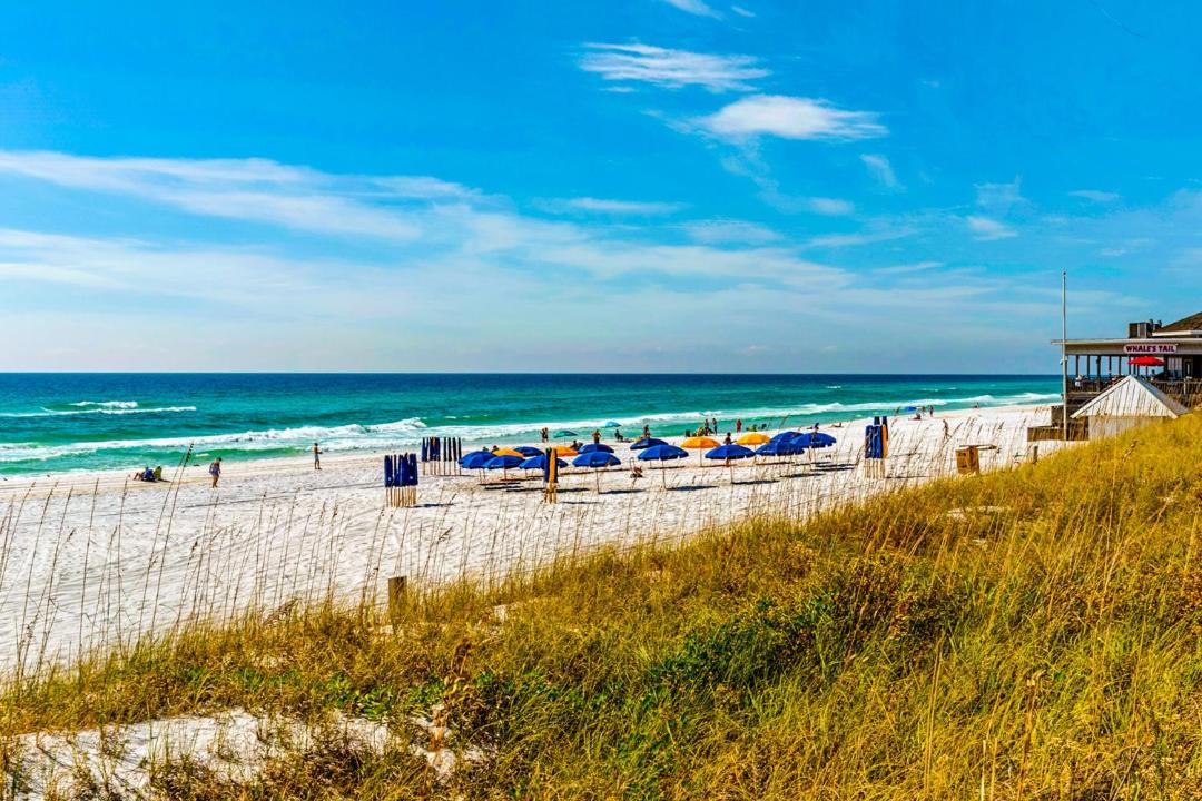 Photo of Others in Miramar Beach