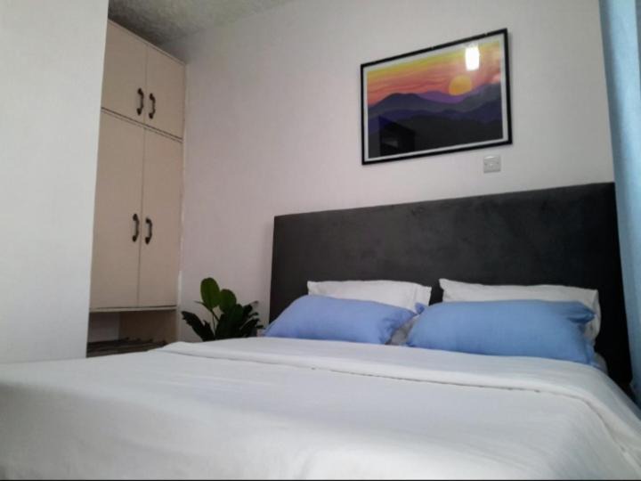 Photo of Bedroom in Embu