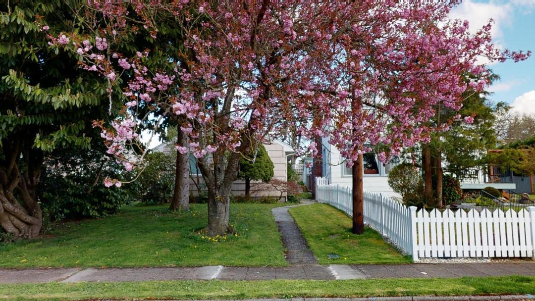 Photo of Others in Snohomish