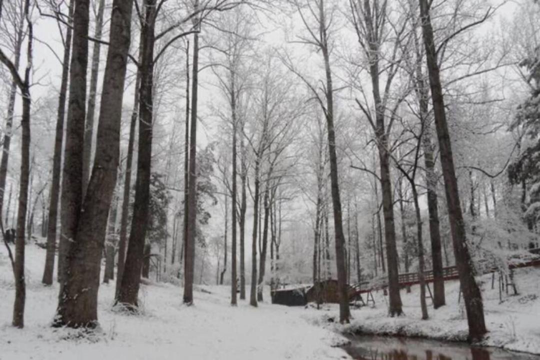 Photo of Others in Stanardsville