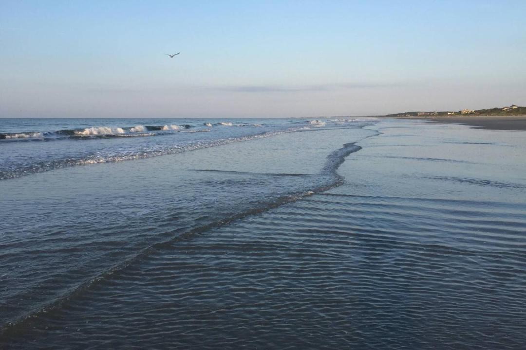 Photo of Others in Kiawah Island