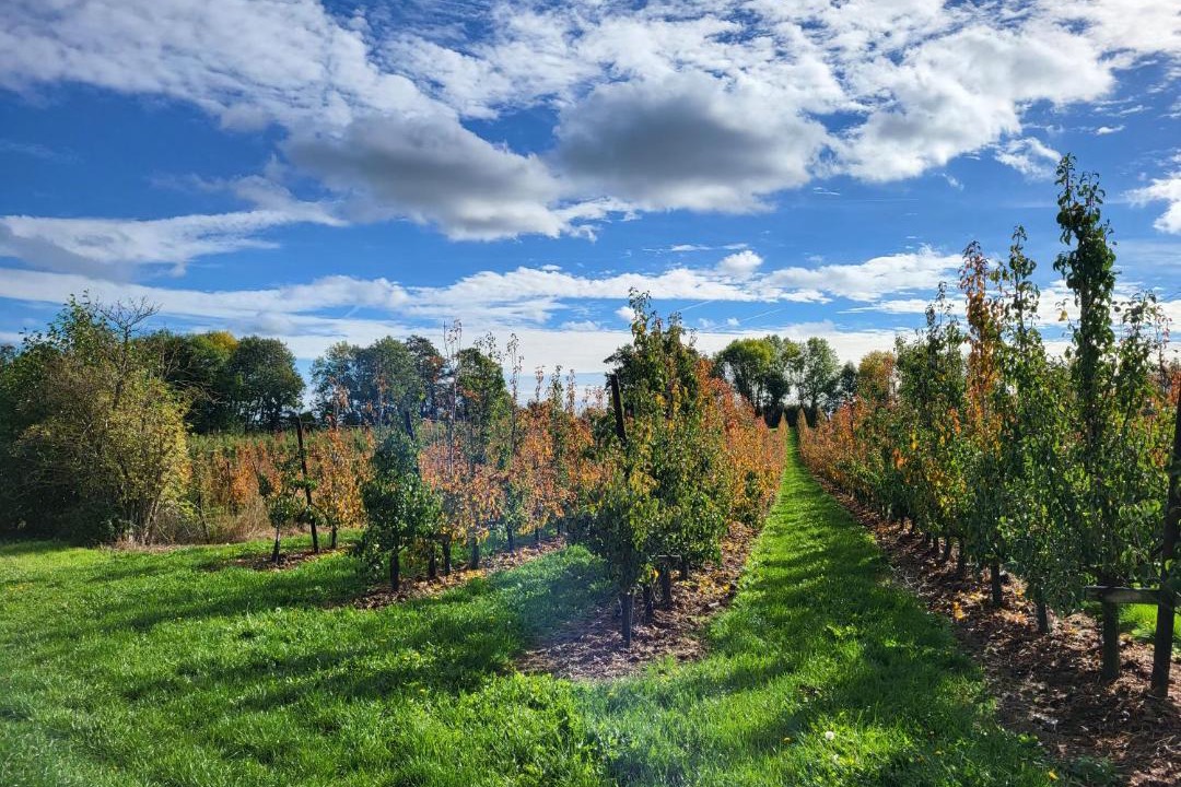 Photo of Outdoor in Engelmanshoven