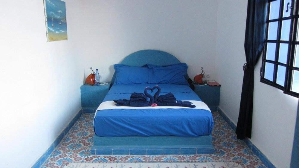 Photo of Others in Ghazoua