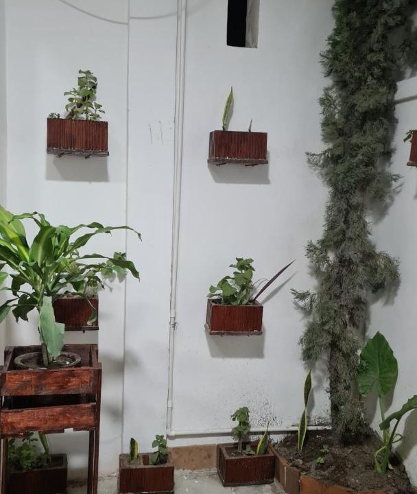 Photo of Others in Veracruz