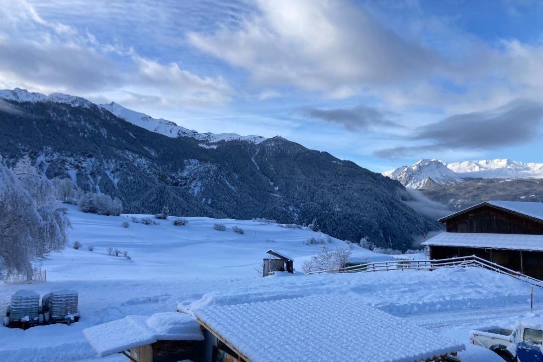 Photo of Others in Albula-Alvra