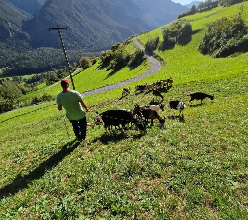 Photo of Others in Albula-Alvra