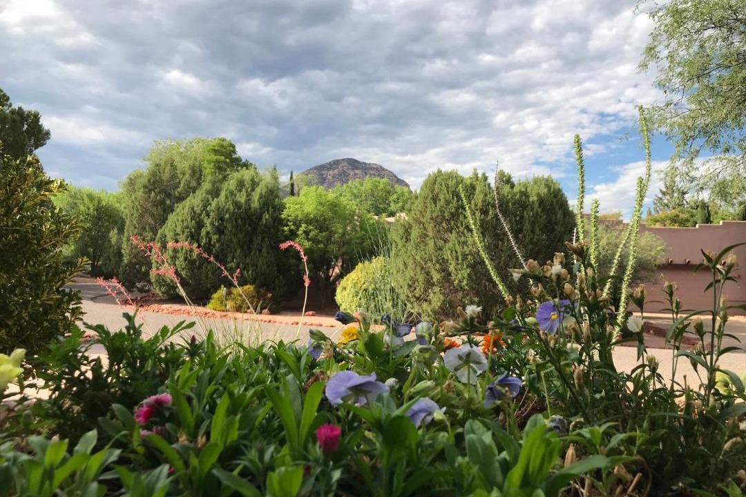 Photo of Others in West Sedona