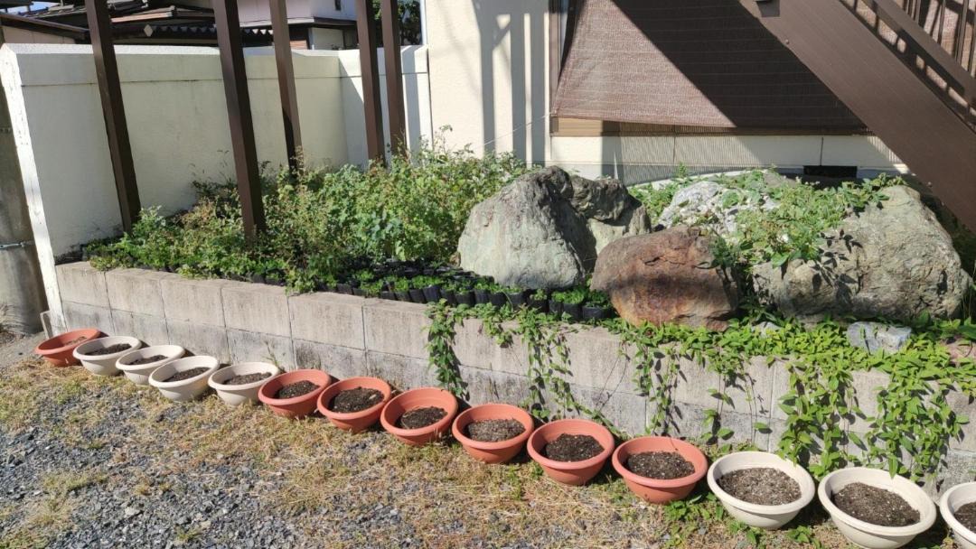 Photo of Others in Gifu
