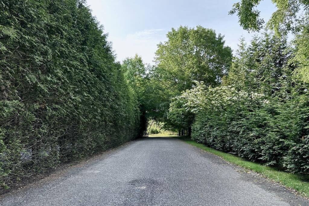 Photo of Outdoor in Bridgehampton