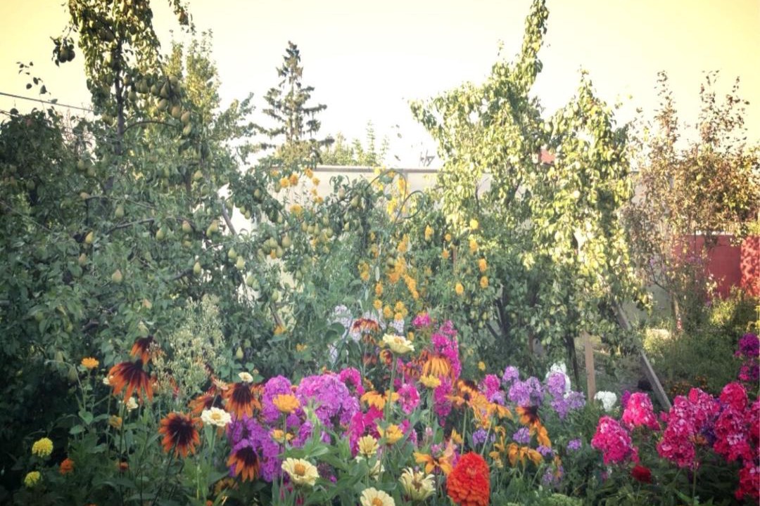 Photo of Outdoor in Kolomna
