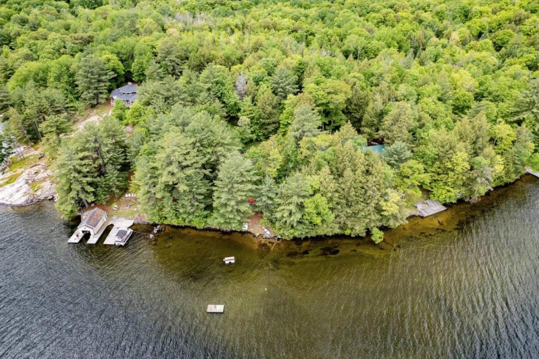 Photo of Others in Algonquin Highlands