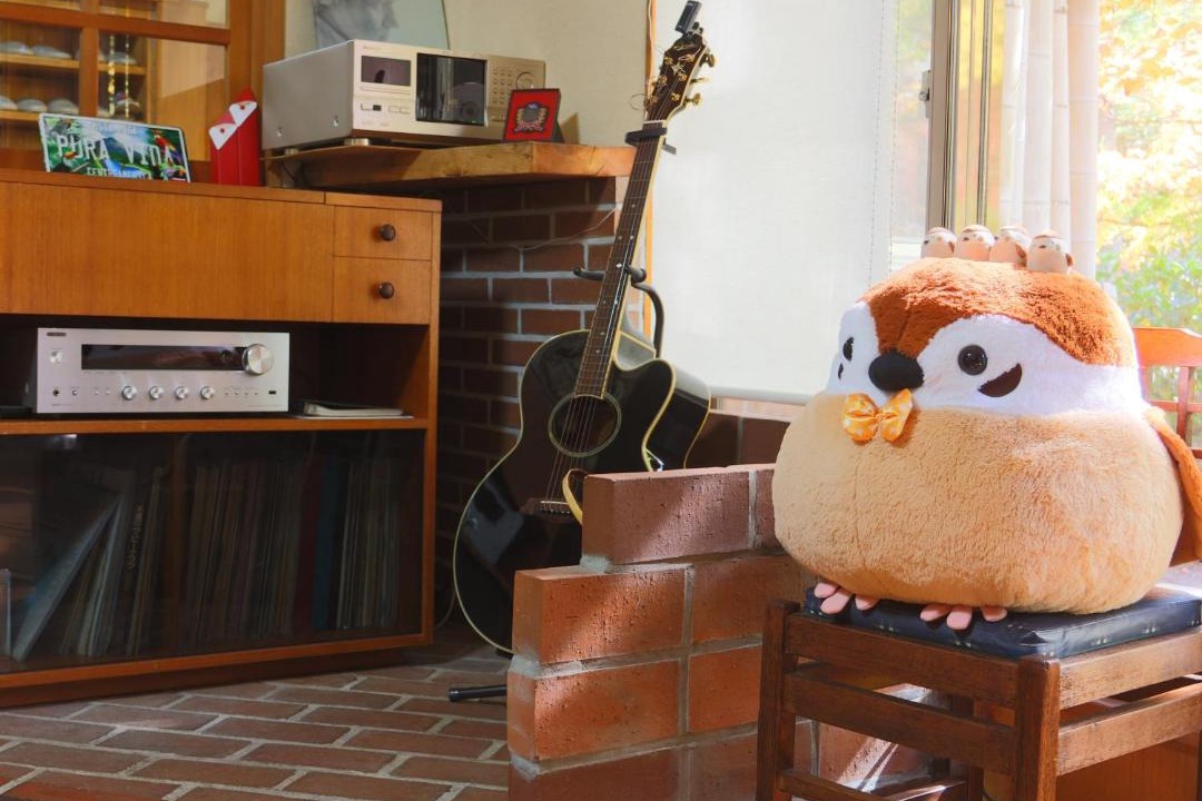 Photo of Livingroom in Matsumoto