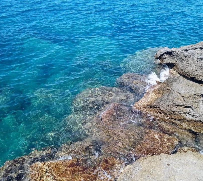 Photo of Others in Castiglioncello