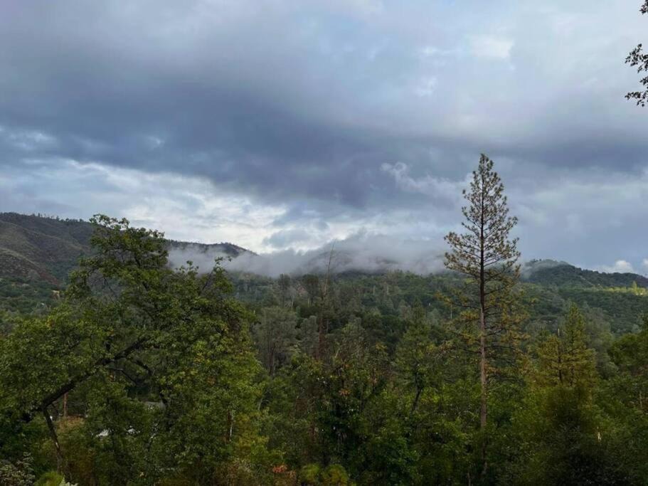 Photo of Others in Midpines