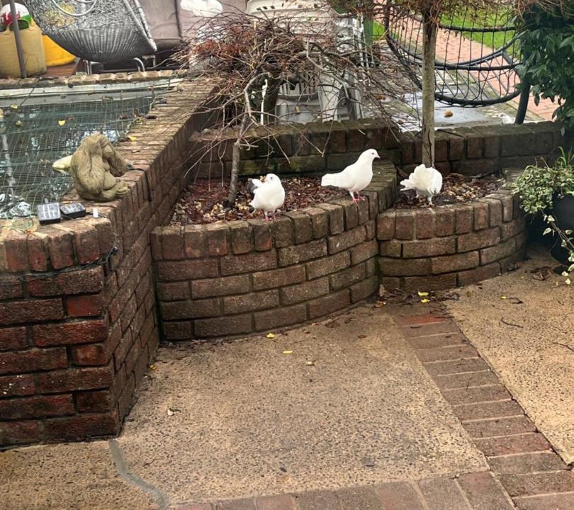 Photo of Others in Whitchurch