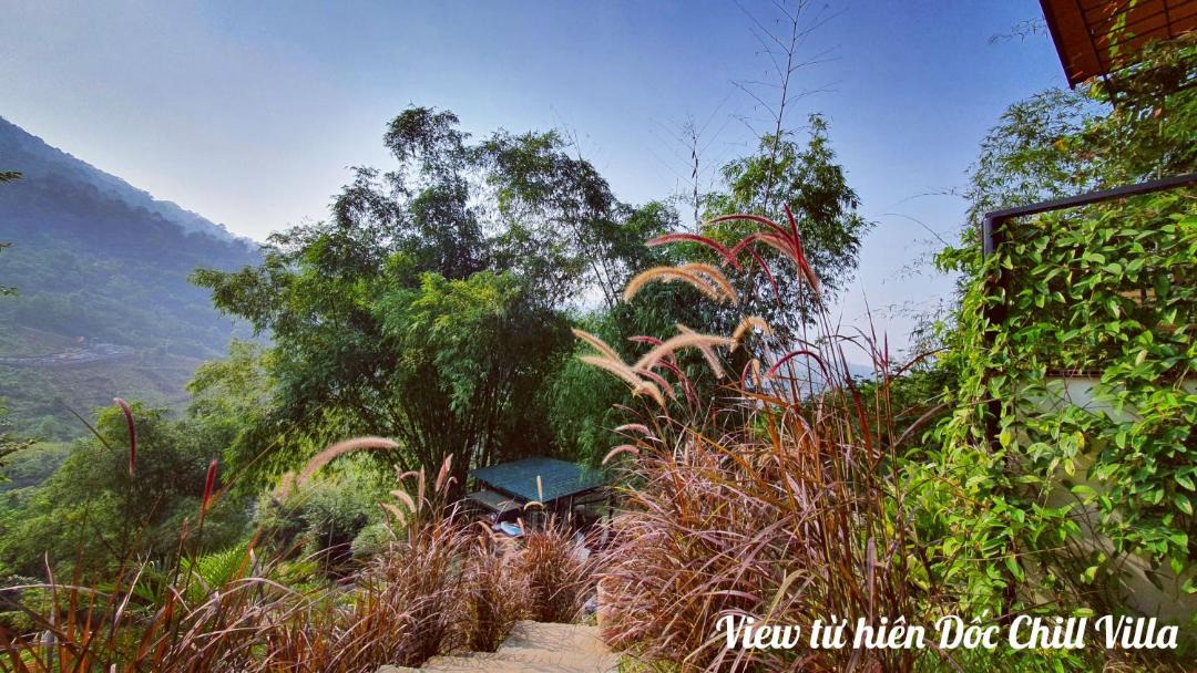 Photo of Others in Quoc Oai