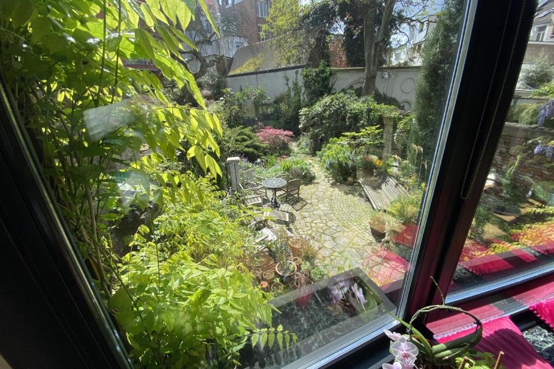 Photo of Others in South Antwerp