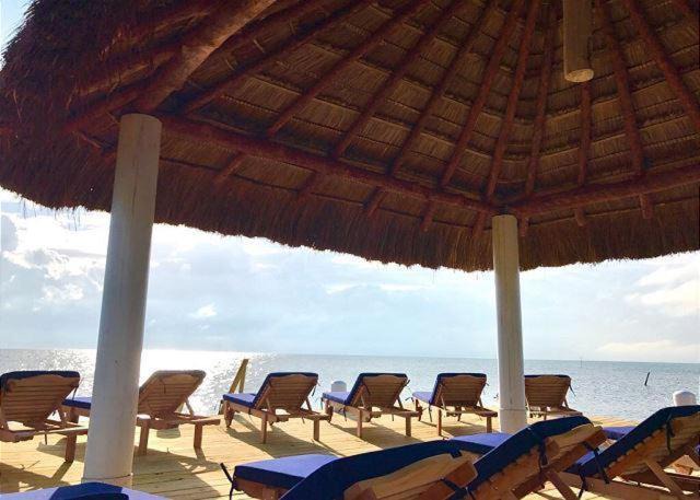 Photo of Others in Caye Caulker