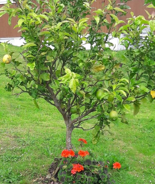 Photo of Outdoor in Esteiro