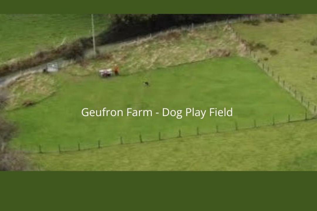 Photo of Others in Bryn-crug
