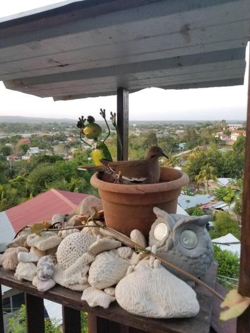Photo of Others in Santa Elena