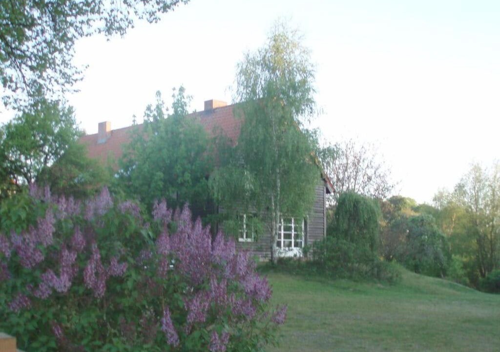 Photo of Others in Metzelthin