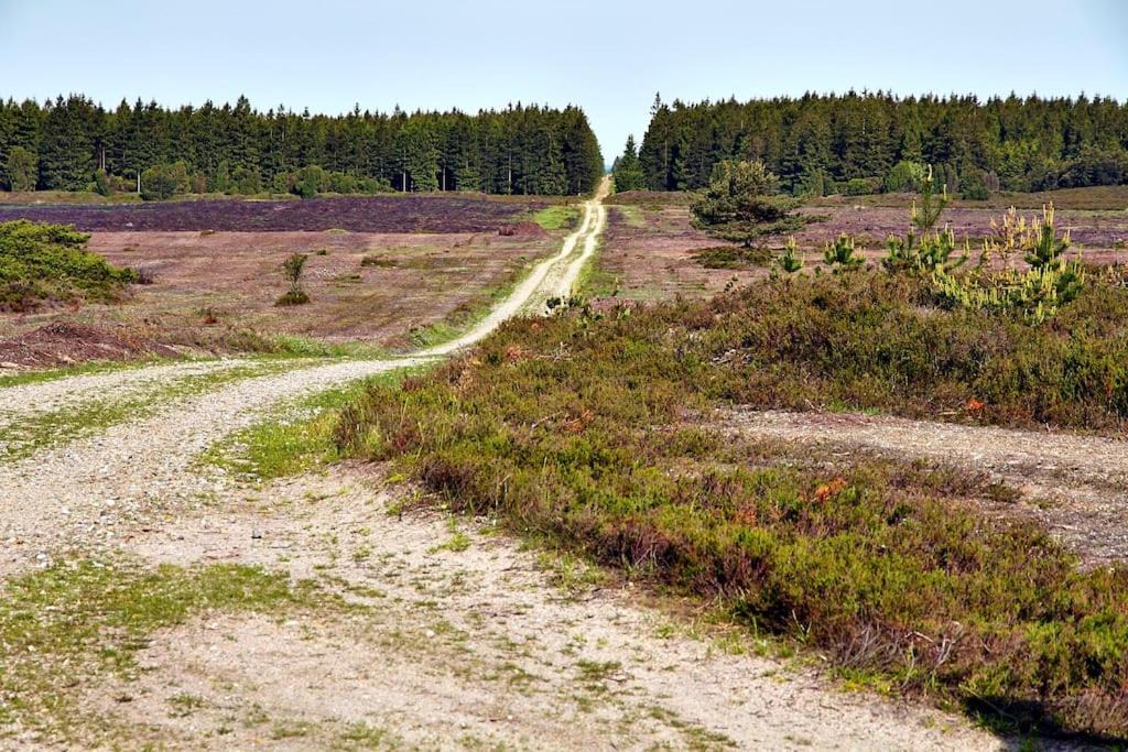 Photo of Outdoor in Ikast-Brande Municipality