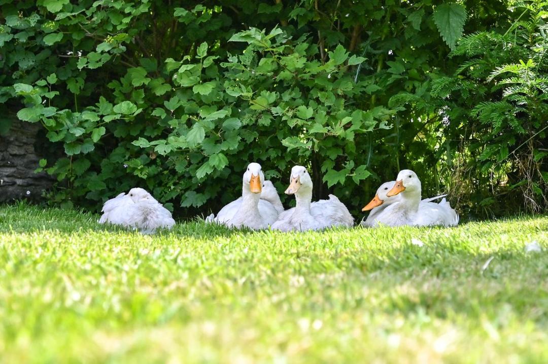 Photo of Others in Saltash