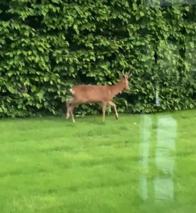 Photo of Others in Winkfield