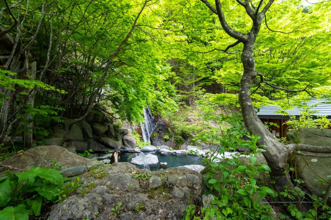 Photo of Others in Oze Nationak Park
