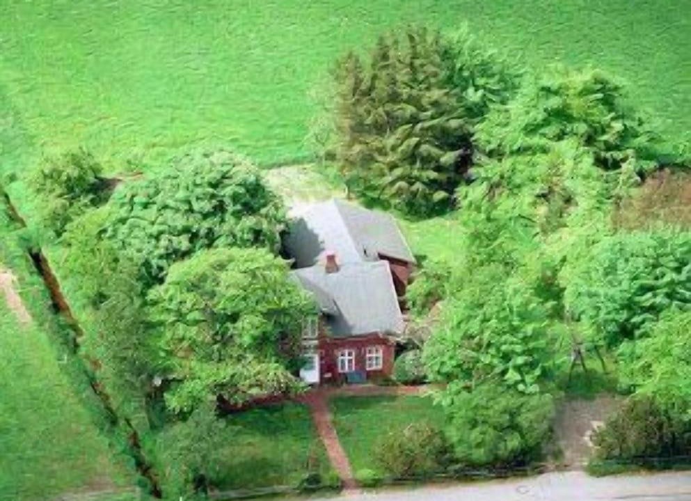 Photo of Others in Monkebull