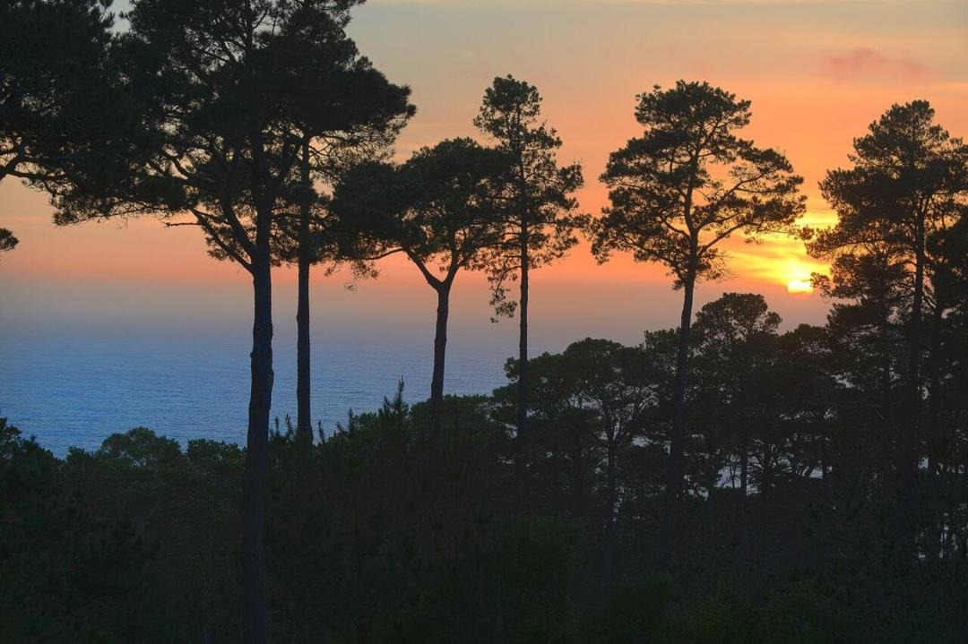 Photo of Outdoor in Carmel Highlands