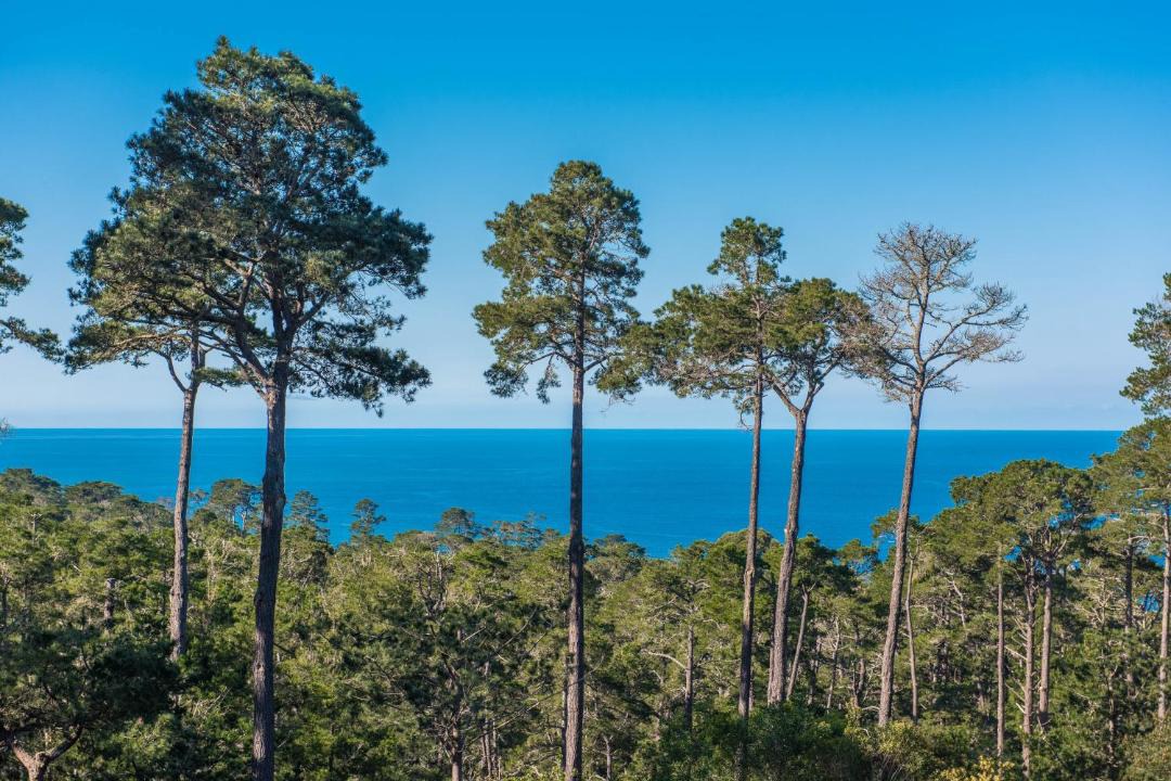 Photo of Outdoor in Carmel Highlands
