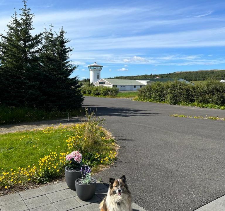 Photo of Others in Reykholt