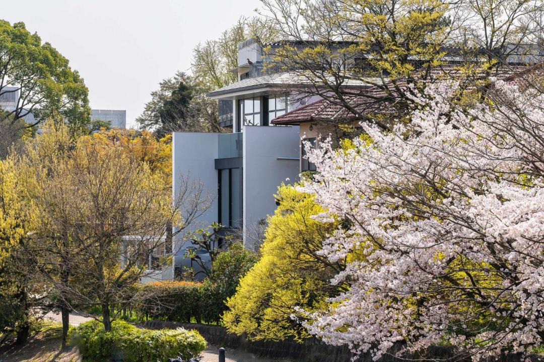 Photo of Others in Kamigyo