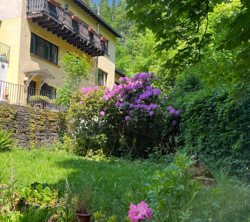 Photo of Others in Monschau