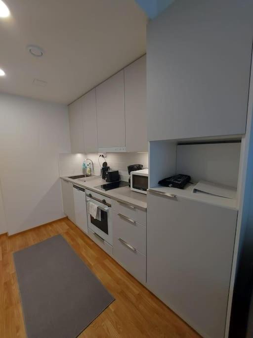 Photo of Kitchen in Lantinen District