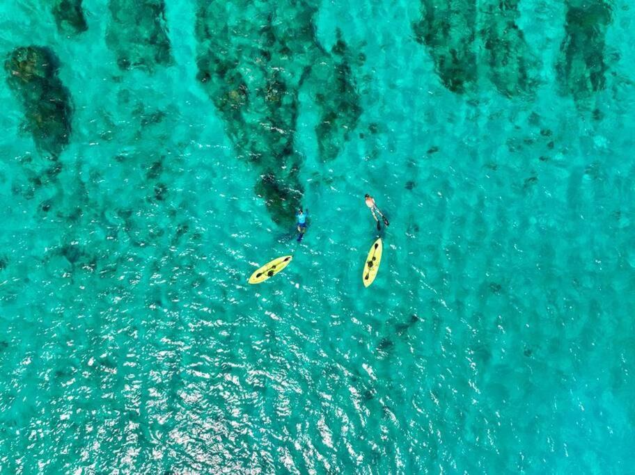 Photo of Others in Northwest Point