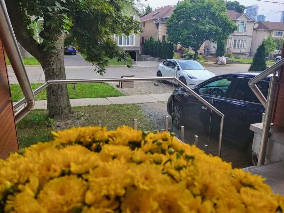 Photo of Others in Willowdale