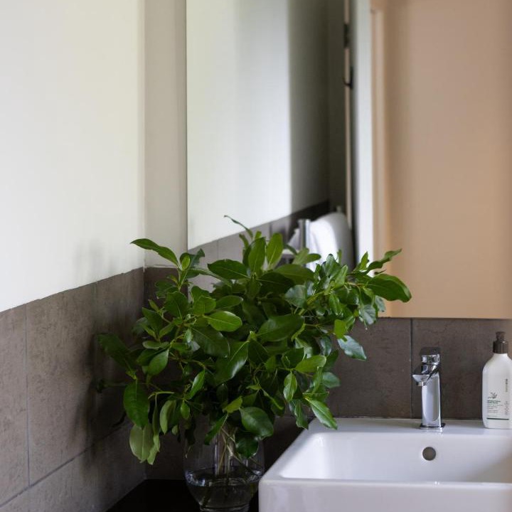Photo of Bathroom in Oneroa