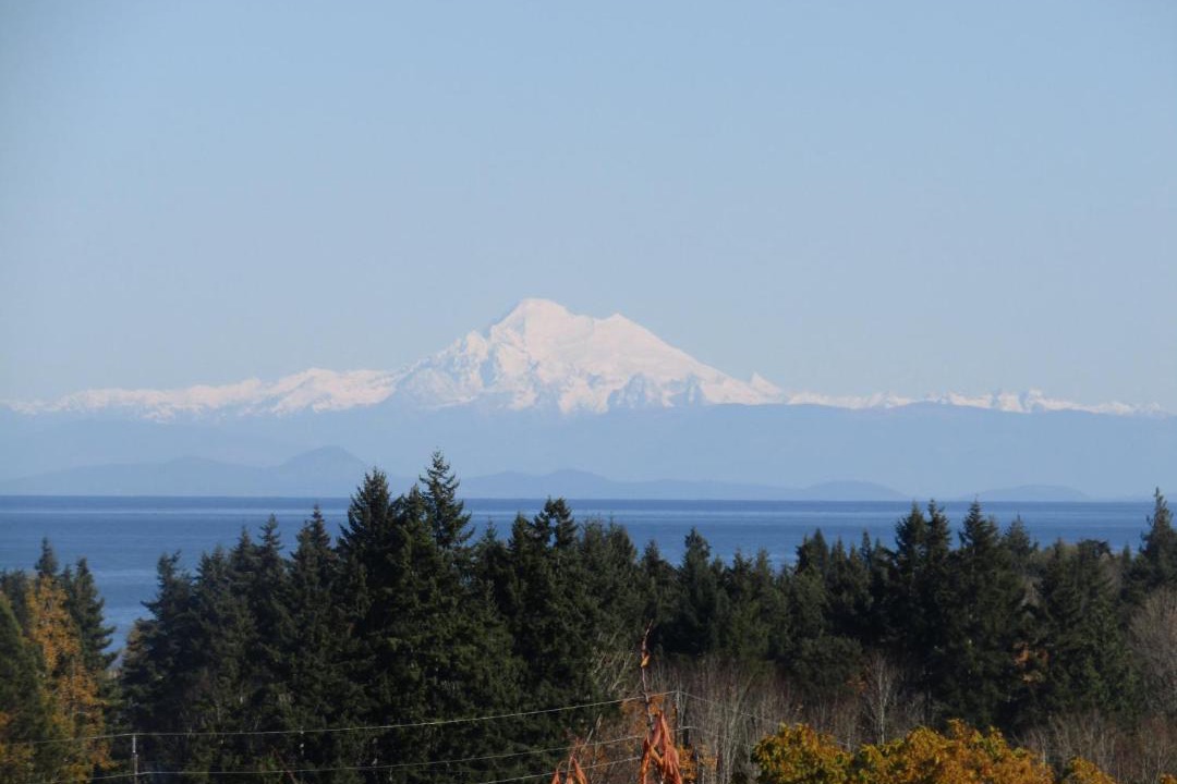 Photo of Others in Port Angeles